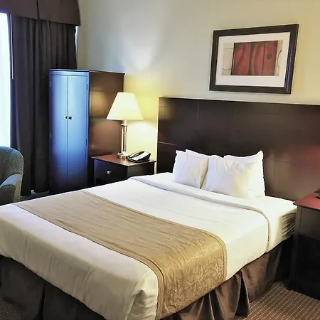 Best Western Sovereign Hotel - Albany-2